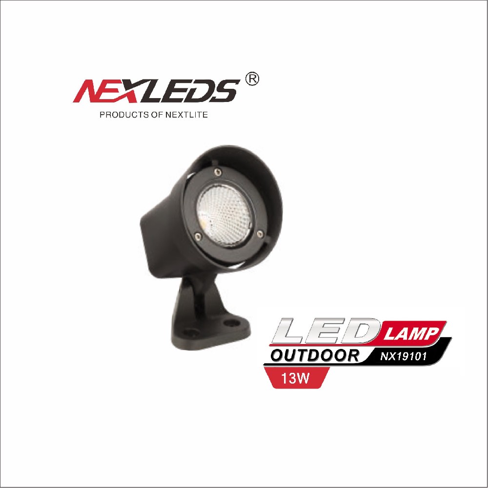NX19101 13W-3000K